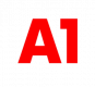 A1